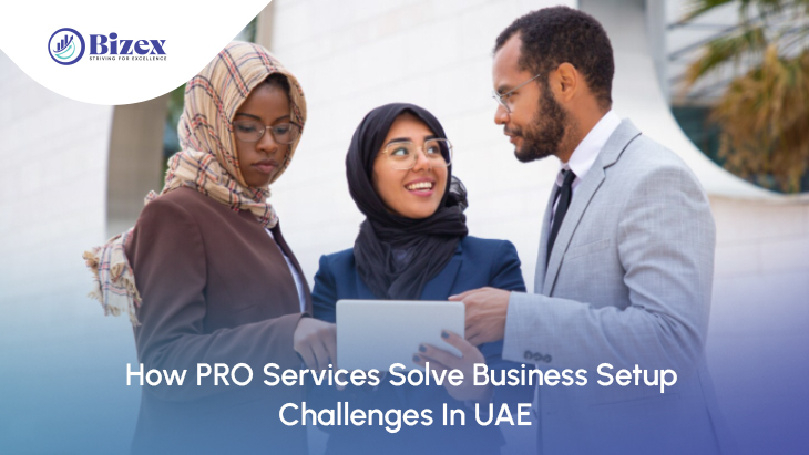 How PRO Services Solve Business Setup Challenges In UAE